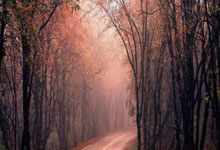 雷火电竞-关于米兰奥林匹亚集结日止住颓势，志在足总杯名次提升，态度坚定，训练强度显著提升的信息